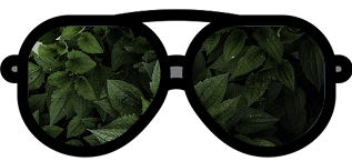 Capsules & Liquid Extracts