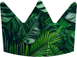 Responsible Use & Transparency